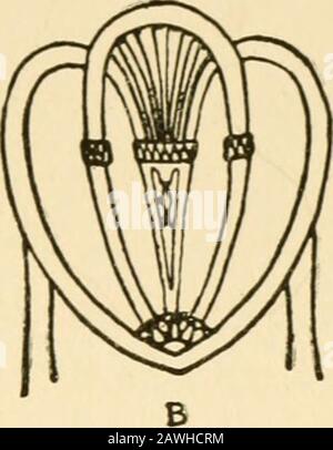 Le livre pratique de meubles d'époque, traitement de meubles de l'anglais, l'américain colonial et post-colonial et les principales périodes françaises . Banque D'Images