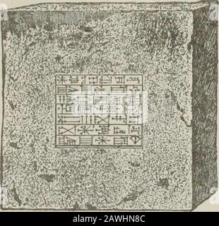 L'encyclopédie populaire et critique de la Bible et le dictionnaire scriptural, définissant et expliquant tous les termes religieux, y compris les thèmes biographiques, géographiques, historiques, archéologiques et doctrinaux . e inscription de Nebuchadnez-zar qui est l'autorité principale concernant les théstructures de Babylone. PROM ce que nous apprenons thatNebucadnezzar rempli la ville avec des temples et des bâtiments publics. Parmi les ruines sont countlessot briques portant le nom de ce roi, qui appuie les déclarations de l'inscription et du livre de Daniel que Nebucadnetzarwas un constructeur-roi. PROM le faucle Banque D'Images