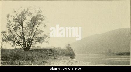 Fantôme du glacier et autres contes . aucune preuve d'avoir été construite par les redskins. Celui qui les a pigés les a gardées en toute sécurité la rivière, car aucun bateau ne pourrait faire des ravages sans annihilation. Sur le champ de bataille de Newtowntoo se trouvent une série de crêtes connues sous le nom de Hogbacks, quelles autorités éminentes ont déclaré être des fortifications de quelques pré- ^WitWrthe confines d'Elmira a été conclu la famoustreaty entre le colonel Pickering et les Indiens, dont 1 400 étaient présents, Représenté par Cornplaner et RedTaket un arbre encore vagues dans la brise, branches sous lesquelles, dit-on, les termes de ce son Banque D'Images
