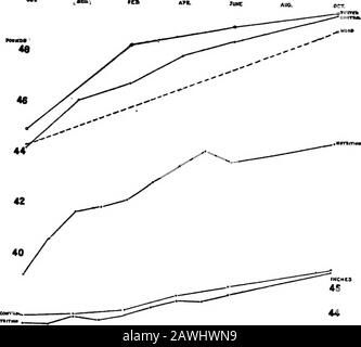 L'éducation à la santé et la classe nutritionnelle, un rapport du Bureau des expériences éducatives; les sections descriptives et éducatives . d inTableau III sont tracées dans le graphique 3, avec une croissance du poids de la courbe de courbure selon les normes Thomas D.Wood * et les normes porter f comme indicatedpar la ligne pointillée. La similitude entre les courbes thérénormiques et celle du groupe de contrôle estab-liche la valeur de ce dernier comme un contrôle. Les courbes de poids des groupes Nutrition et ControlGroups, tout comme dans la tendance, sont très différentes inplacement sur l'échelle de poids; il y a une différence de 4,99 livres dans l'Octo Banque D'Images