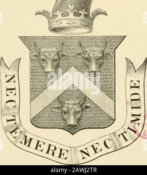 La famille Bulkeley; ou les descendants de RevPeter Bulkeley, qui s'établit à Concord, Mass., en 1636 Compouled à la demande de Joseph EBulkeley . ^?i&. LA FAMILLE BUJLKELEY. -•-?-• Cette famille est descendue de l'antiquité distante. Son nom de famille est dérivé d'une crête de montagnes dans le comté de Palatin ofChester. Le nom a été épelé dans le règne de John—1199 à 1216 et les générations suivantes—Buclough, ou montagne plus grande.Dans le 20 d'Henry IV., et sur les visites d'Edward IV, sa désignation était Bucclogh—Seigneur de Bulclogh dans Cheshire; et du manoir d'Eaton, Presland et Almon, Nbrbury et St Banque D'Images