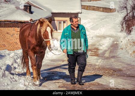 Village de Grachevo, Rhodopes, Bulgarie - 8 février 2020: Vieil homme avec son cheval dans la rue dans le village de Grachevo, haut en montagne d'hiver. Banque D'Images