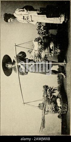 Agriculteurs de quarante siècles; ou, l'agriculture permanente en Chine, en Corée et au Japon . ying et chantant dans la rue. Beaucoup de vieilles femmes, certaines feeble regardant, déplacé, chargé, à travers le throng, tandis que les petits chiens, un lancas occasionnel, et les poules et les roosters scurrirent de l'autre côté de la rue. -*&gt;.^, Nous avons finalement atteint l'une des collines mitoyennes qui s'élèvent à 500 à 1 000 pieds au-dessus du port avec des côtés si raides que le gardenshave une largeur rarement de plus de 20 à 30 pieds et souvent moins, tandis que l'avant de chaque terrasse est généralement un mur de pierre, environ 12, souvent plus de 6, bu Banque D'Images
