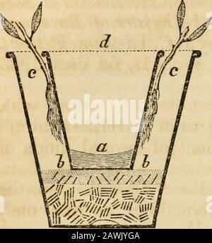 Le magazine du jardinier américain et le registre des découvertes et des améliorations utiles dans l'horticulture et les affaires rurales . s susceptibles d'être adoptés, comme par le matron de chalet amateur, avec ses pinks et ses fleurs murales, comme par le jiropagatère de précieux exotics. C'est comme suit:—Prendre un pot à large bouche 4 B-si7, marmite, par exemple, et le croquez dans l'homme-ner habituel avec des tuiles cassées, &c.; puis prendre une petite soixante à large bouche, et mettre un morceau d'argile dans le fond de lui pour arrêter le trou; ensuite, placez itinside l'autre, sur le toji du crocking, de sorte que les pots-de-vin soient sur un niveau. E Banque D'Images