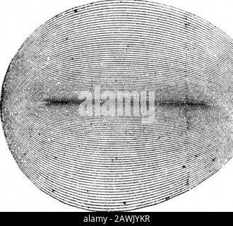 Volume Américain Scientifique 35 Numéro 03 (Juillet 1876) . Une autre façon d'étudier ces vibrations résultantes est byl'aide du pendule Tisleys, qui consiste en un point de martingpoint «o arrangé pour obéir au mouvement de deux pendulumsbalançant à angle droit l'un à l'autre. Une variété d'effectsest produite en allongeant et raccourcissant le pendule en variant les intensités de leur mouvement. Le résultat une série de belles courbes symétriques représentées dans des gravures accomoisantes. Fig. 4 représente l'unisson. Fig. 4.. où les pendules vibrants sont de longueur égale. Fig.5 représente l'octave, wh Banque D'Images