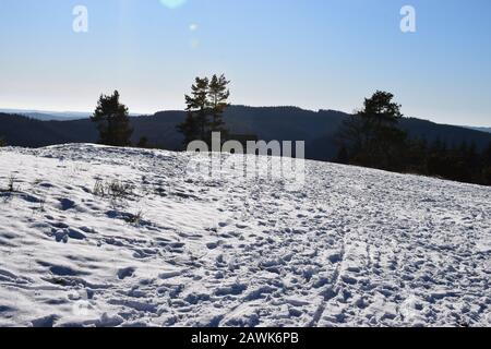 L'Eifel enneigé entre Bergheide et la montagne Hohe Acht Banque D'Images