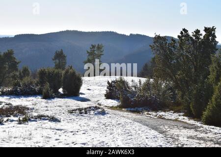 L'Eifel enneigé entre Bergheide et la montagne Hohe Acht Banque D'Images
