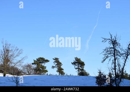 L'Eifel enneigé entre Bergheide et la montagne Hohe Acht Banque D'Images