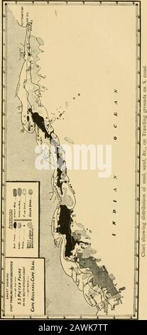 Rapport biologique marin pour l'exercice terminé ..et la moitié de l'exercice se terminant .. . 5, 16, 18.Pike, 116.Puerulus, 73, 74.filets Purse-seine, 16. Recife, Cap, 21.Ked Eau, 17. 30.Richard Irvine, 5.River-Harder, 86.Rock-cod, loi. Baie De Saldanha, 37. Sargus capensis, 96. Sardines, 13, 26. Marquage du poisson, 83. Scylliorhinus punctatus, 129. Joints, 14. Île Seal, 13, 14. Sea-Harder, 86. Selene gibbiceps, 130. Maquereau De Serpent, 126. Snoek, 8, 116. Œufs de Snoek, 124, Semelles, 23. Sprattoides aestuarius, 81. Springer-dikkop, 85 ans, Springer-Harder, 85 ans, 17 ans, étoile du Sud, 5 ans Baie D'Helenas, 37.Steenje, 94 Ste Banque D'Images