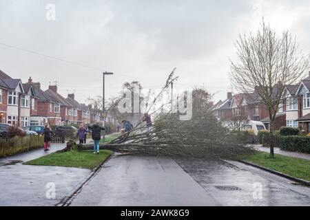 Cambridge, Royaume-Uni. 9 février 2020. Les enfants jouent sur un arbre tombé qui bloque la route à Cambridge, au Royaume-Uni pendant la tempête Ciara. Richard Etteridge / Alay Live News Banque D'Images