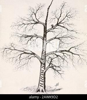 Dossier généalogique de John Brown (1755-1809) et de ses descendants, aussi les branches collatérales des familles Merrill, Scott et Follett . 31 Woodland Ave., Duluth, Minn. Et Lt;! # p,,„.jlilli«»?k 3 9999 06174 715 8 -^. ^Y, V; LE DOSSIER GÉNÉALOGIQUE DES ARBRES BRUNS DE JOHN BROWN (1755-1809) ET DE SES DESCENDANTS AUSSI LES BRANCHES DE TECHOLLATERAL DES FAMILLES MERRILL, SCOTT ET FOLLETT PUBLIÉES PAR H. C. BAKER ST. PAUL, MINN. -. &gt; C5// •4 1 -&gt; r f 0/John Brown et ses Descendants Se Réjouissent qu'avec Biight regard regarde en arrière-plan ses pères de père, zuho avec joie raconte leurs actes de grâce, Et dans le hi7 Banque D'Images