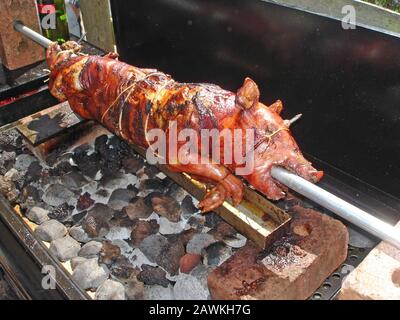 Cochon suçant sur une rôtisserie de porc sur une broche sur des coals sur un barbecue Banque D'Images