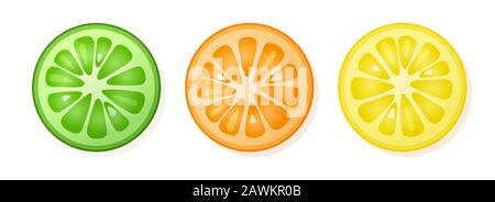 Jeu de tranches de citron, d'orange et de citron vert sur fond blanc. Tranches d'agrumes. Illustration vectorielle. Illustration de Vecteur