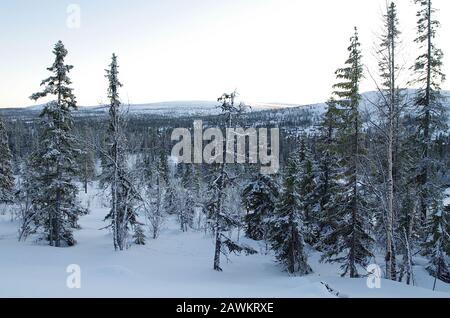 Ski de fond à Vemdalen en Suède Banque D'Images