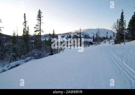 Ski de fond à Vemdalen en Suède Banque D'Images