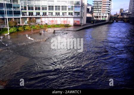 La rivière Irwell brise ses rives près du pont Trinity dans le centre de Manchester, au Royaume-Uni, en raison de fortes pluies de la tempête Ciara, le 9 février 2020. Banque D'Images