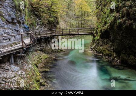 Vintgar Gorge, Bled, Slovénie Banque D'Images