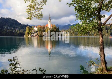 Église en marbre située sur l'île au centre du lac. Alpes Juliennes. Slovénie Banque D'Images