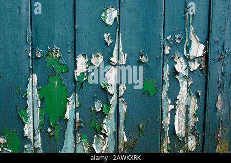 Peinture peeling sur une porte en bois montrant les anciennes nuances de vert et bleu qui ont été utilisées dans les années passées. Banque D'Images