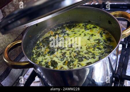 Soupe À L'Ail Ramsons Wild Banque D'Images