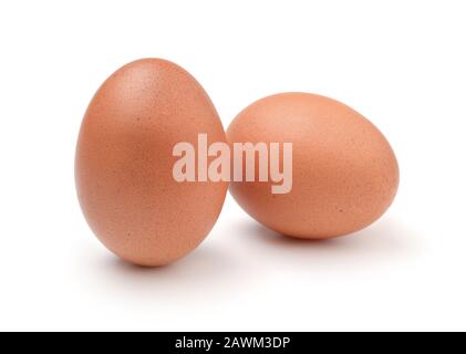 Deux œufs de poulet frais isolés sur fond blanc. Banque D'Images