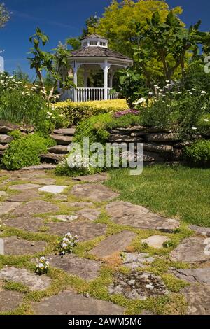 Chemin en pierre de pavillon et marches dans des bordures en pierre naturelle surélevée avec Bellis perennis blanc - fleurs de Marguerite, Brugmansia - Trompettes d'Ange, belvédère dans l'arrière-cour Banque D'Images