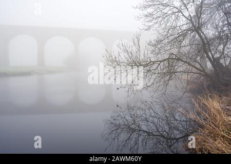 Les arches distinctives d'Arthington Viaduc sont juste visibles sur un matin d'hiver brumeux et gelé, vu des rives de la rivière Wharfe. Banque D'Images