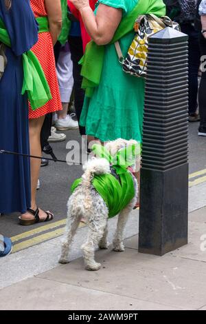 La marche de masse marque 100 ans de vote des femmes, Centre de Londres, Royaume-Uni 10 juin 2018. Ensemble, des femmes du Royaume-Uni ont marché dans les rues pour créer une œuvre d'art vivante, produisant une mer de vert, de blanc et de violet - les couleurs du mouvement de la suffragette. Banque D'Images