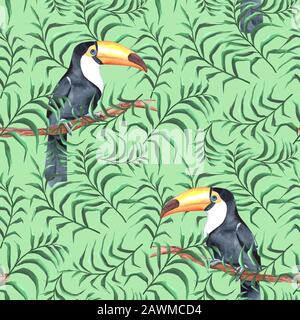 Motif aquarelle transparent avec toucans et feuilles Banque D'Images