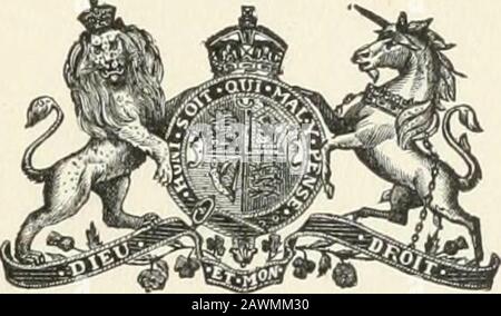 Documents de session du Dominion du Canada 1906 . Dalglish. 1903 A. Dugas. 1897. 1903 1897 1903 A. Dumas. 1898 J. Ernest Collin. 1904 F. W. long. 1898 E. A. McKay. 1904 H. W. Bell. 1898 T. F. Clancy. 1904 H. Garneau. 1899 W. H. Allison. 1904 G. Belanger. 1899 B. C. Cerswell. 19 H4 S. J. ROBERTSON. 1899 O. H. Cogswell. 1904 A. Messier. 1899 C. Hislop. 1904 C. L. Fisher. 1899 A. H. Shea. 1904 0. Noel. 1899 L. J. R. GABOURV. 1904 L. R. Ostigny. 1899 H. W. Charlton. 1905 P. A. David. 1900 Edwin North.J. N. Robertson.Jno. P. Wren. 19(1,5 M. J. Williams. 1900 1905 1905 1905 i i. Mat. 1900 Mlle M. E. Bur Banque D'Images