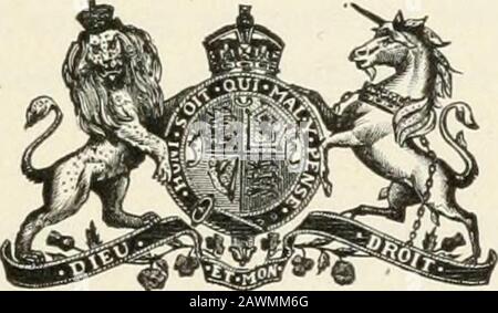 Documents de session du Dominion du Canada 1906 . 4 Worsnop, Charles Arthur 89 Wright, B. H .... ] 3 Wright, Ernest H 99 Wright, James Percy 184 Wright, John Philip . .... 195 Wright, Joseph 127 Wright, Louisa Marion 102 Wright, Orange 55 Wright, Richard Pennefather 159 Wright, Robert 60 Wright, Robert J 45 Wright, Sarah E 46 Broughton, Theodore Ambrose 24 Iates, John )Q Yeilding, A. B Q Yeilding, Fannie 9 Yelle, Urgelle.... .... 119 Yetts, Robt. Peter ;;I York, Alexander , 98 York, Brown Lee 14 York, Dunbar 155 York, Thomas F 88 Yorston, James 59 Youhill, Jos. Alex 162 Young, Geo. Holmes Banque D'Images