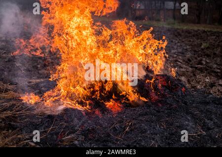 Le feu brûle le champ de paille après la récolte Banque D'Images