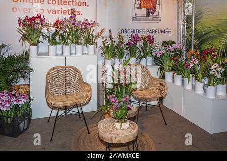 Nootdorp, Pays-Bas, 7 avril 2019: Chaises en rotin et tables en bois joliment décorées avec des orchidées fleuries. Banque D'Images