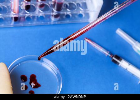 Pipette et boîte de Petri avec tube de test sanguin dans un laboratoire hospitalier d'analyse médicale Banque D'Images