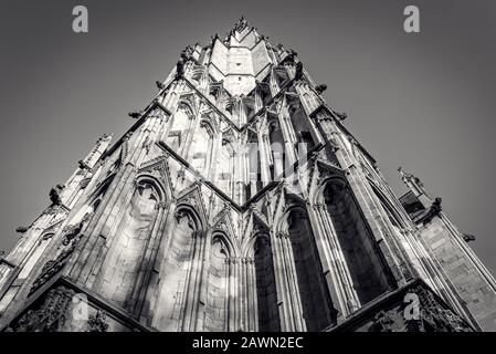 Vue à bas angle de l'une des tours ouest de York Minster. Pris dans un soleil d'hiver, l'architecture gothique complexe s'étend jusqu'au ciel. Banque D'Images