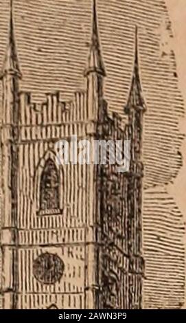Livre illustré d'Appletons sur les récits américains guide complet et fiable ..to ..The United States and the British provocesWith cartes soigneuses de toutes les parties du pays, et photos de lieux et de scènes célèbres, à partir de dessins originaux de l'auteur et d'autres artistes . Banque D'Images