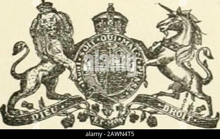 Documents de session du Dominion du Canada 1905 . -,f ^^ ^ :^*-* --W5^^ ,^-*- ..-#&gt; .^^^ . &lt; iinifirilr ^ 4-5 ÉDOUARD VII DOCUMENT DE SESSION NO 27 A. 190 I DOMI^^ION OK CAN^D^ RAPPORT ANNUEL MINISTÈRE DES AFFAIRES INDIENNES POUR L’EXERCICE TERMINÉ LE 30 JUIN 1904 IMPRIMÉ PAR ORDRE DU PARLEMENT. OTTAWA IMPRIMÉ PAR S. E. DAWSON, IMPRIMANTE AUX KINGS MOSTEXCELLENT MAJESTY 1905 [NO 27—1905.] 4-5 ÉDOUARD VII. DOCUMENT de session no 27 A. 1905 À S. E. Le Bight l'honorable Sir Albert Henry George, Earl Grey, ViscountBowich, Baron Gray de Howich, dans le comté De Nor Thumb erland, dans le Peerageof the Uni Banque D'Images