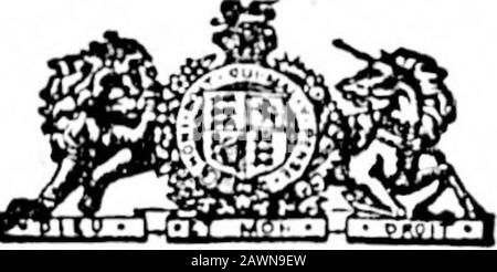 Colonist Quotidien (1894-09-28) . ABRÉVIATION NIST. Système Pitmans, enseigné En vingt-cinq leçons pour S-5. Proflclonoy Garanti. Address3, chemin Contro, Spring Ridgo. Apll LITHOGRAPHING ET GRAVURE. Toutes Les Classes De Travaux Lithographiés, Telles Que Cartes, Chèques, Brouillons, Chefs De Projet De Loi, Chefs De Lettre, Chefs De Note, Étiquettes De Couleur Et De Couleur, Cartes De Mariage Et De Visite, Etc. IMPRESSION DE LIVRES ET DE TRAVAUX. Nous Avons Tout Imprimé. Affiches, papeterie De glace, circulaires commerciales, Cata-journaux, formulaires d'affaires et De Conseils, formulaires vierges, livres d'appel, LawForms de toutes sortes, bons de vente, formulaires sur-ance, livres et Brochures, Cata Illustré Banque D'Images