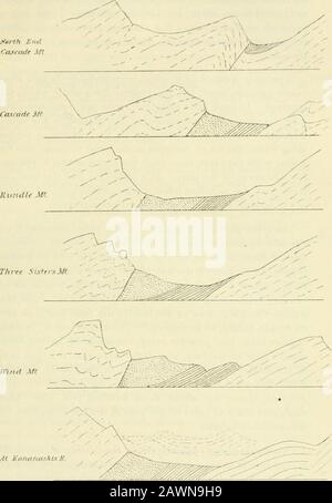 Les documents de session du Dominion du Canada 1905 . f Anthracite, puis détourne plus vers le nord incline pratiquement hors de jeu. Ce point, alors, la fin du défaut, peut être beconsidré comme un pivot pour le déplacement latéral ihe des lits. Si la masse totale à l'ouest n'est pas influencée par cette rupture, une partie à la laisse sera, et la direction de la pression et du déplacement latéral shouldbe, dans la plupart des cas, le long des lignes à angle droit aux rayons du point de pivotement. Les plis, comme mentionné ci-dessus, se trouvent à peu près dans cette direction de pression. Ceux dans les lits du Crétacé de l'Anthracite sud à la tothe Banque D'Images