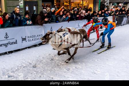 Norvège, TROMSØ - STORGATA - FÉVRIER 09, 2020: Semaine sâme avec championnat norvégien en course de rennes Banque D'Images