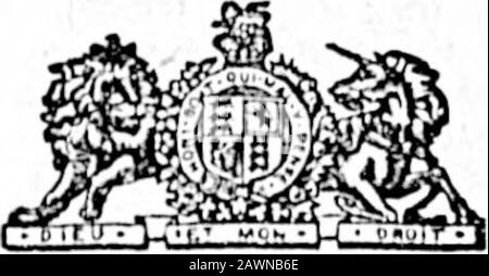 Daily Colonist (1894-09-28) . undor-algnode up tn midi du 20 Novombor, 1891, achat direct d'une parcelle de terrain contenant 80 acros moro ou loon, et boing tho sud moitié du lot 91 Albernl Diatrict. Plus élevé ou tout tendorne pas nécessairement bo accopé. LINDLBY CREASE.10 Chancory Lano, Victoria (C.-B.),Bolo-lm tolieitor for tho Mortgagoo. GnoWFLASKE FARINE POUR USAGE FAMILIAL, EST LE MEILLEUR DU MARCHÉ. Demandez-Le À Votre Épicerie. N'en avez Pas D'Autre, MAFUFAOTUltKD DE Red Crown Roller Mills, ALBANY. Oregon, REMARQUE anl. Tho nbovola truocopie d'un règlement paaaod bytho Conseil municipal de la ville de Victoria onth Banque D'Images