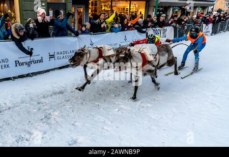 Norvège, TROMSØ - STORGATA - FÉVRIER 09, 2020: Semaine sâme avec championnat norvégien en course de rennes Banque D'Images