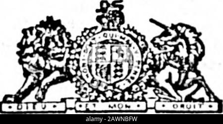 Daily Colonist (1894-09-28) . ire .Insurance Company villilis Head Oluce lu The West. Tho attonation de tho assurant public et livoprogressifs agents ia appelé à tho folingroaBons pour Bolocting thii Company : d'abord. Il 1 b tho seulement la Compagnie canadienne glanant sa sûreté de pollinisation-holdora tho de quatre pour cent, réserve; tous les othors. Sans excoptlon, ro-Borving sur une norme iowor. Deuxième. Le contrat de politique Tho est aa libéral bnny isaued. Aucune restriction quant au resldonco, au voyage ou à l'occupation, et à l'année indiscutable de l'alterono. Troisième. Tarifs premium Tho aro low et thocost ia tho titulaire de la police ia certai Banque D'Images