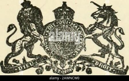 Documents de session du Dominion du Canada 1905 . 19 .54 Grantbeeded. $ cts. 2 682 47 95 43 2 777 90 (il .58 7 0338 22 106 83 FONDS D'AFFECTATION SPÉCIALE POUR LES INDIENS 16 jours DOCUMENT DE SESSION no 27 FONDS D'AFFECTATION SPÉCIALE POUR LES INDIENS. Déclaration C indiquant les opérations liées au Fonds au cours de l'exercice terminé le 30 juin 1904. Service. Solde, 30 Juin 1903. Collecte sur les ventes de terrains; droits de bois et de pierre; loyers, amendes et frais. Intérêt pour la jear terminé le 30 juin 1904, sur le solde ci-dessus subventions législatives pour compléter les fonds chèques En Circulation pour 1901-02 Dépenses au cours de l'exercice 1903-04., , solde, 30 juin 1904 débit. Cre Banque D'Images