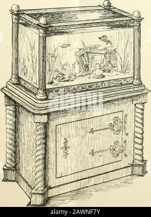 Le pêcheur américain . Aquarium Cabinet. Formes d'Akiariiins. 141 ils sont remis dans leurs lieux. Comme on peut le voir sur l'illustration, l'eau de l'aquarium doit se reachjuste en dessous des supports en verre. Un tel réservoir a tous les avantages d'un aquarium de salon et le développement du tadpole à la grenouille peut être mieux observé dans lui que dans tout autre. Les plantes submergées illustrées sont : corne ou Waxworl{Ceratophyllum demersum), n° 9;Ludwigia Mulerttii, n° 10; Rosy fan-wort (Cabomba rosaefolia), n° ji;Arrowhead flottant (Sagittaria natans), n° 8; ravageur de canal (Anacharis cana-de Banque D'Images