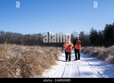 Mapleville Rhode Island, 20 Décembre 2019 : Deux Chasseurs Marchent Le Long D'Une Route Pour Observer Les Oiseaux Banque D'Images