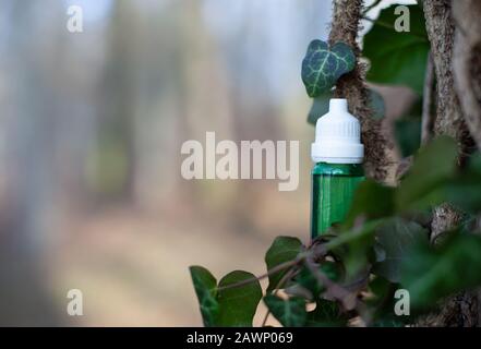 Bouteille verte avec extrait..Ivy bouteille - Médecine naturelle. Banque D'Images