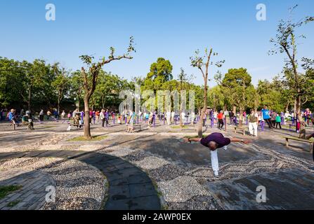 Les personnes âgées de Chine exerçant leurs activités dans une salle de sport en plein air, Tiantan Park, Beijing, Chine, Asie Banque D'Images