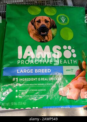 walmart iams large breed