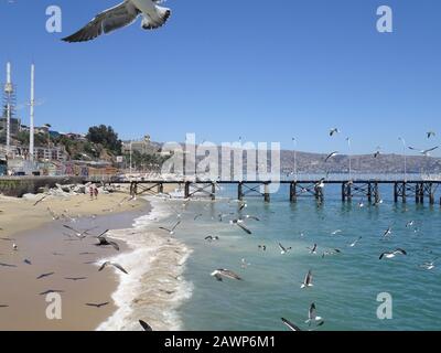 Caleta Portales est un port de pêche à Valparaiso Banque D'Images